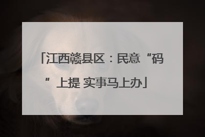 江西赣县区：民意“码”上提 实事马上办